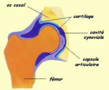 File written by Adobe Photoshop® 4.0